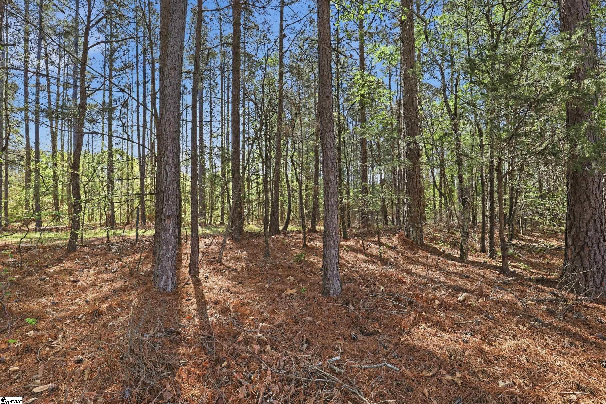 88 Deer Valley Road Laurens, SC 29360 - Photo 27 of 40