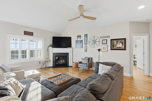 a living room with furniture window and a fireplace