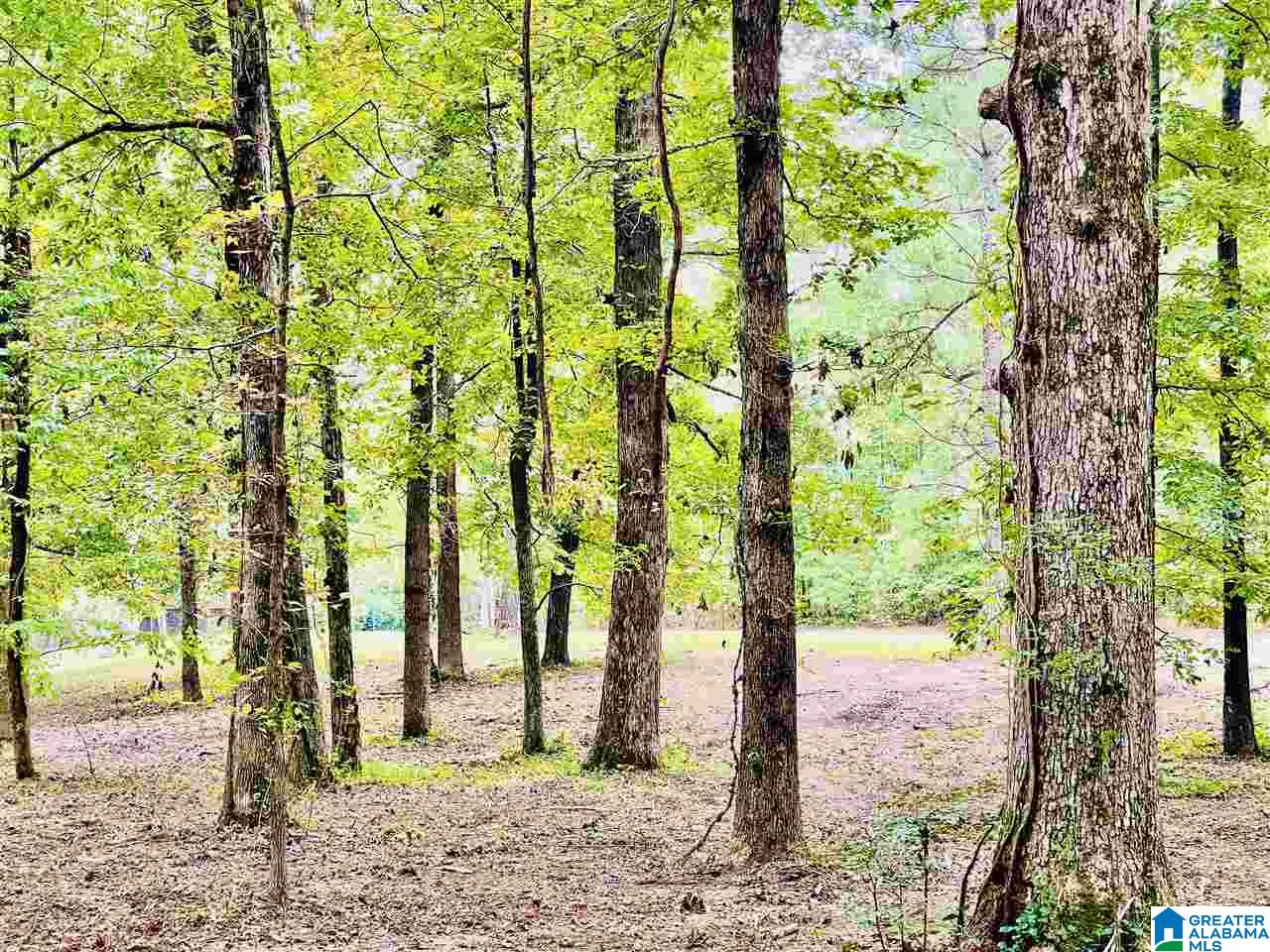 455 Boulder Trail Warrior, AL 35180 - Photo 7 of 45