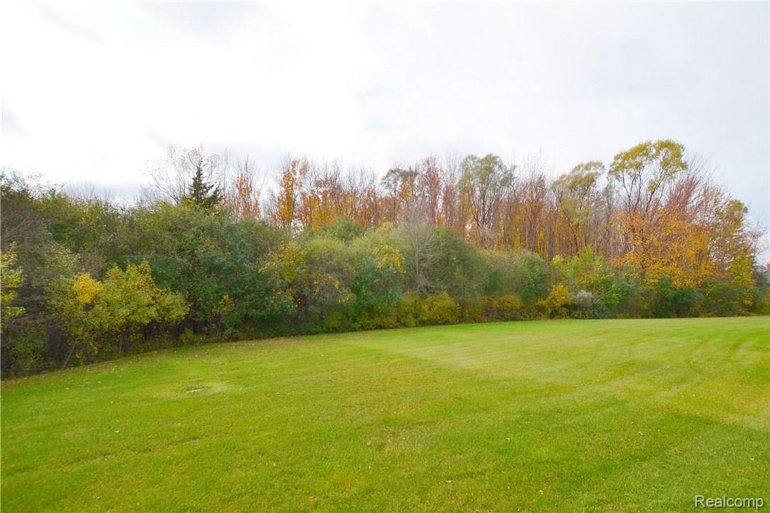 3706 Winding Brk Circle, Unit 42 Rochester, MI 48309 - Photo 29 of 30 Enjoy Views Of Nature Every Day