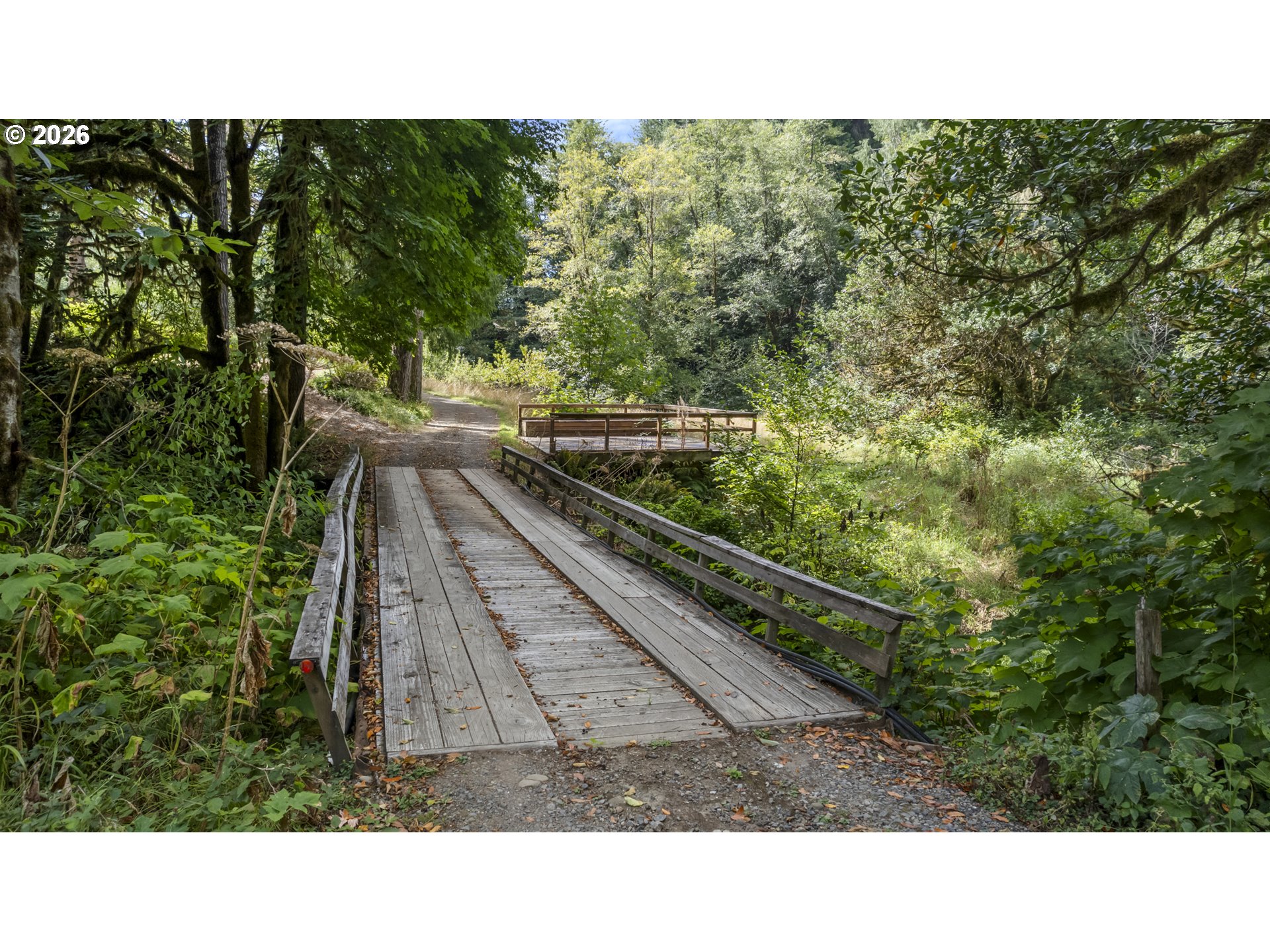 67085 Marlow Creek Road Coos Bay, OR 97420 - Photo 5 of 48 a open area with trees in the background