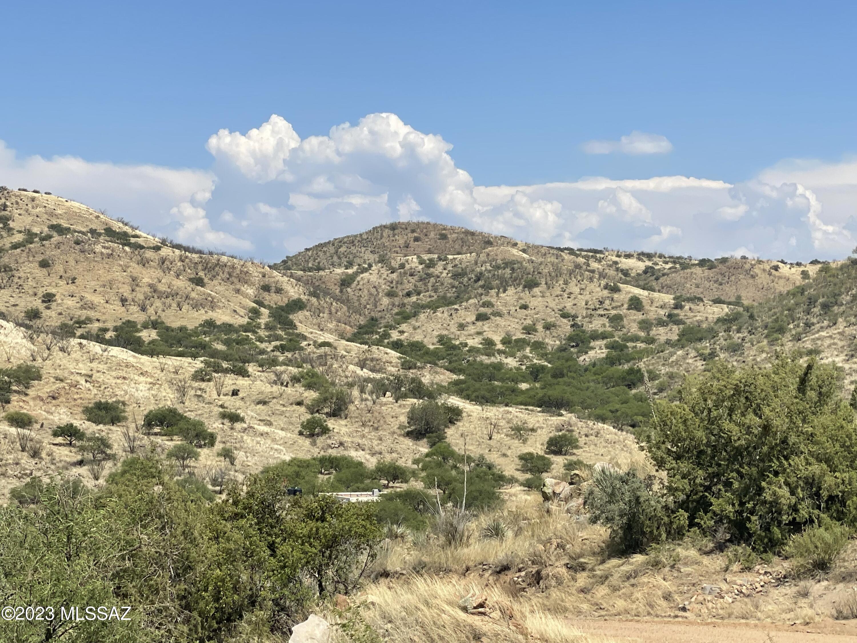 0 Montezuma Well Road, Unit 162 Rio Rico, AZ 85648 - Photo 15 of 26