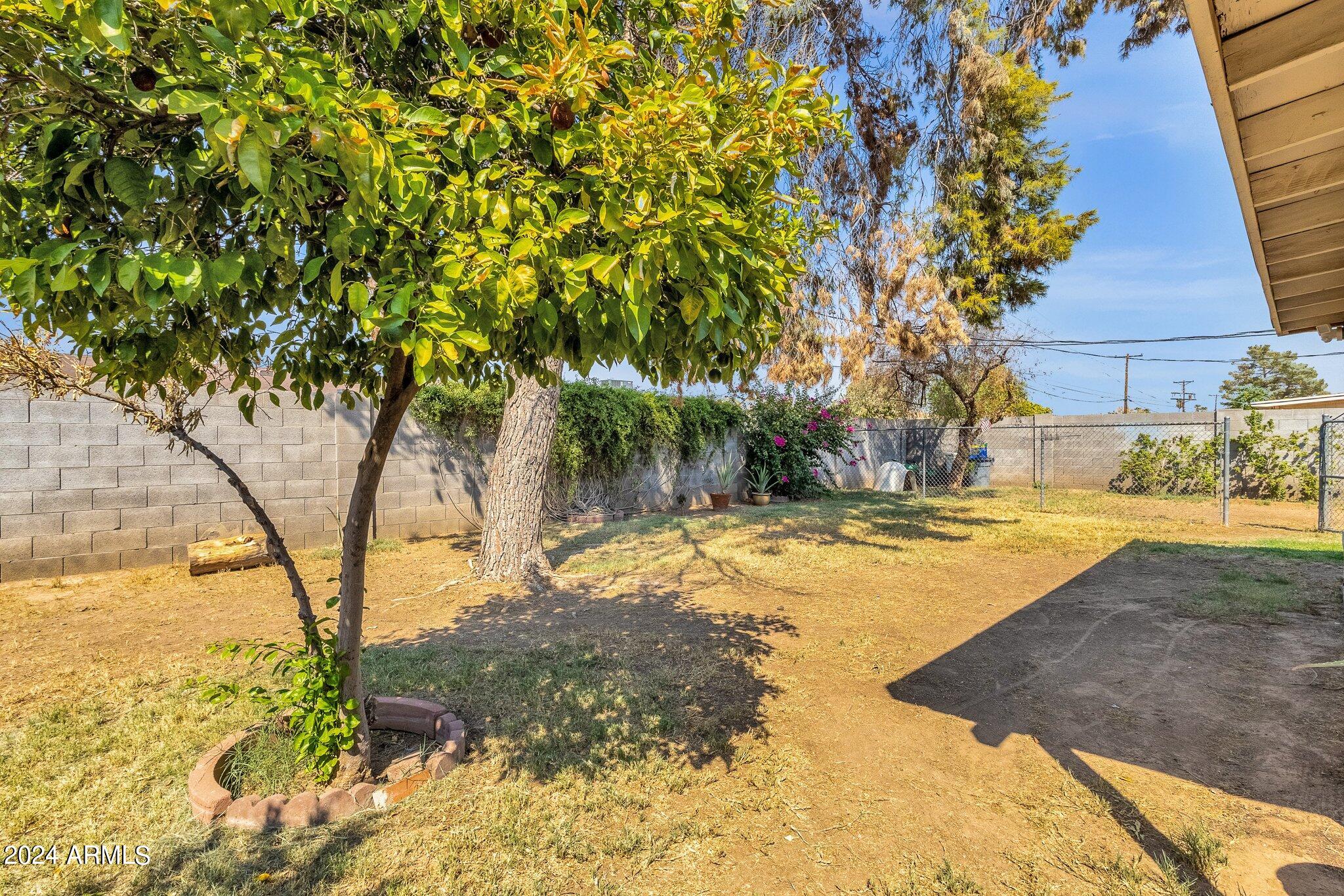 4044 West Rovey Avenue Phoenix, AZ 85019 - Photo 18 of 20 Backyard