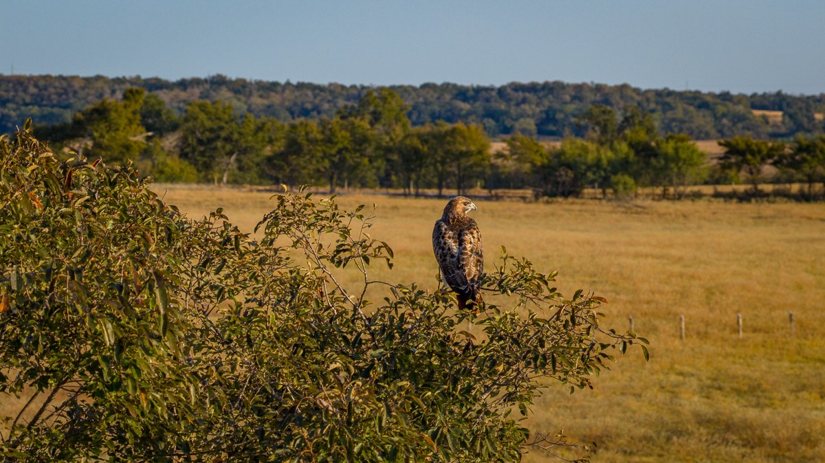 T-10 Providence Road Hearne, TX 77859 - Photo 11 of 25