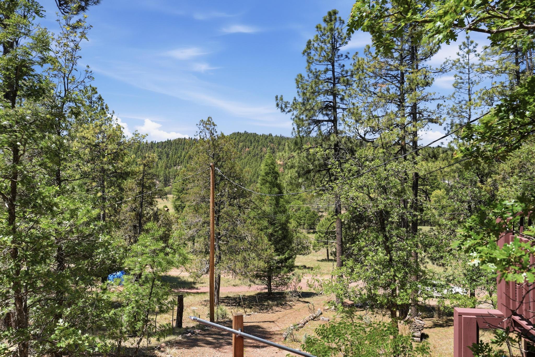 575 South Cienega Road Payson, AZ 85541 - Photo 21 of 30