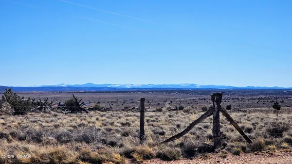 a view of a mountain in the background