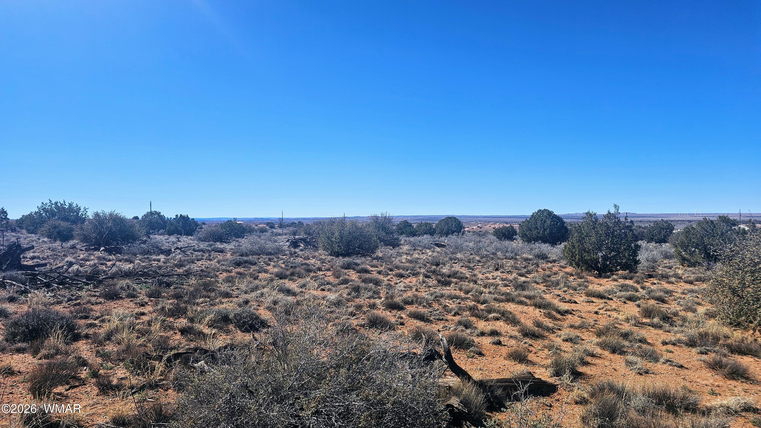 8334 Rockin R Ranch Trail Snowflake, AZ 85937 - Photo 28 of 28 a view of a big yard