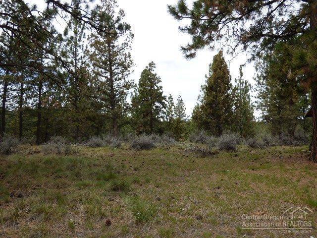 3202 McClellan Road Bend, OR 97702 - Photo 7 of 25 a view of a field with trees in the background