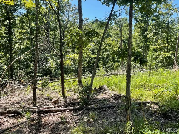 $339,900 | 0 County Road 456, Piedmont, MO 63957