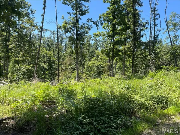 $339,900 | 0 County Road 456, Piedmont, MO 63957