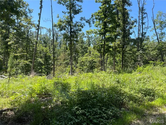 $339,900 | 0 County Road 456, Piedmont, MO 63957