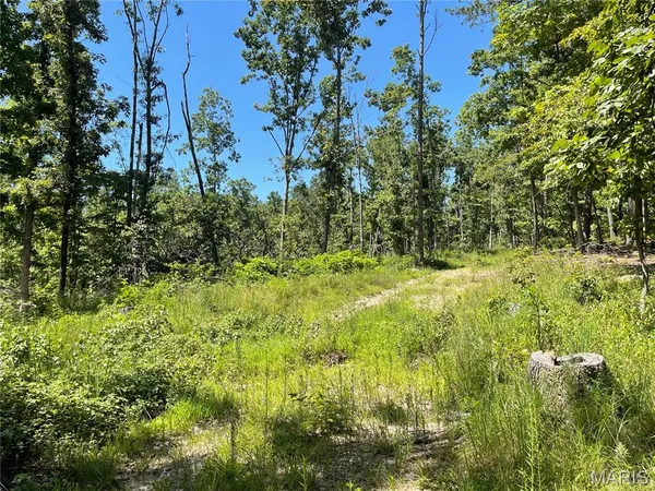 $339,900 | 0 County Road 456, Piedmont, MO 63957