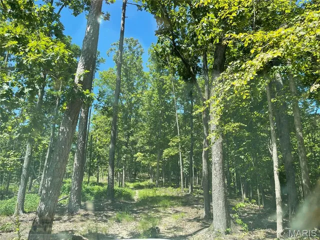 $339,900 | 0 County Road 456, Piedmont, MO 63957