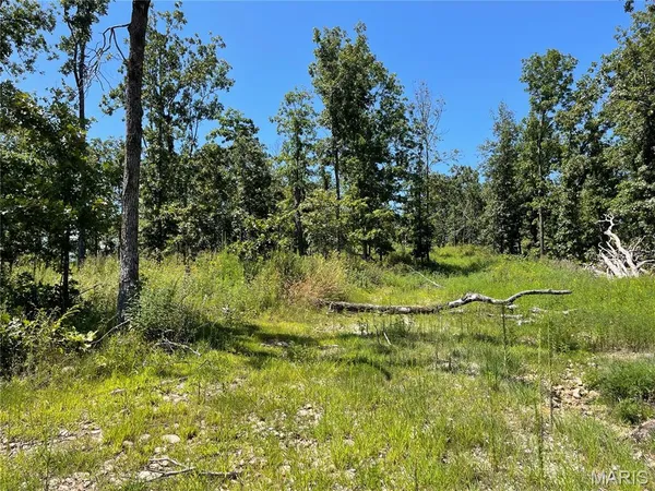 $339,900 | 0 County Road 456, Piedmont, MO 63957