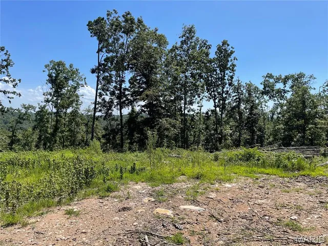 $339,900 | 0 County Road 456, Piedmont, MO 63957