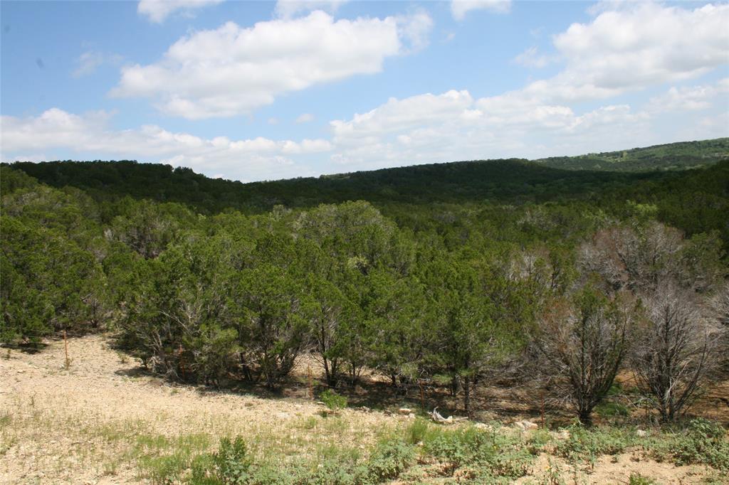 464 Upper Brad Road Strawn, TX 76475 - Photo 10 of 32 View of mountain feature