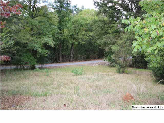 339 Taylor Crossing Ohatchee, AL 36271 - Photo 4 of 26