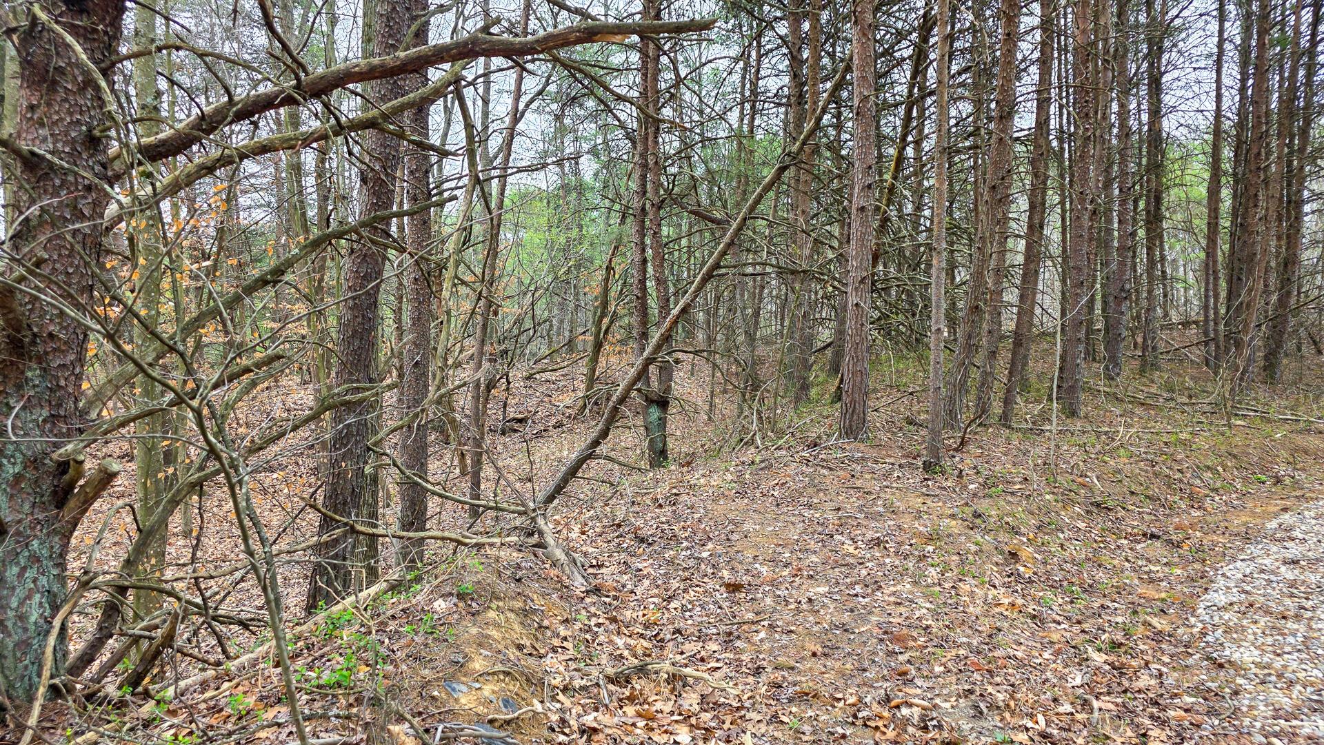 818 Campaign Poplar Road, Unit PONDS POPLAR RIDGE TRACT 4) Gallipolis, OH 45631 - Photo 24 of 24 CT-24