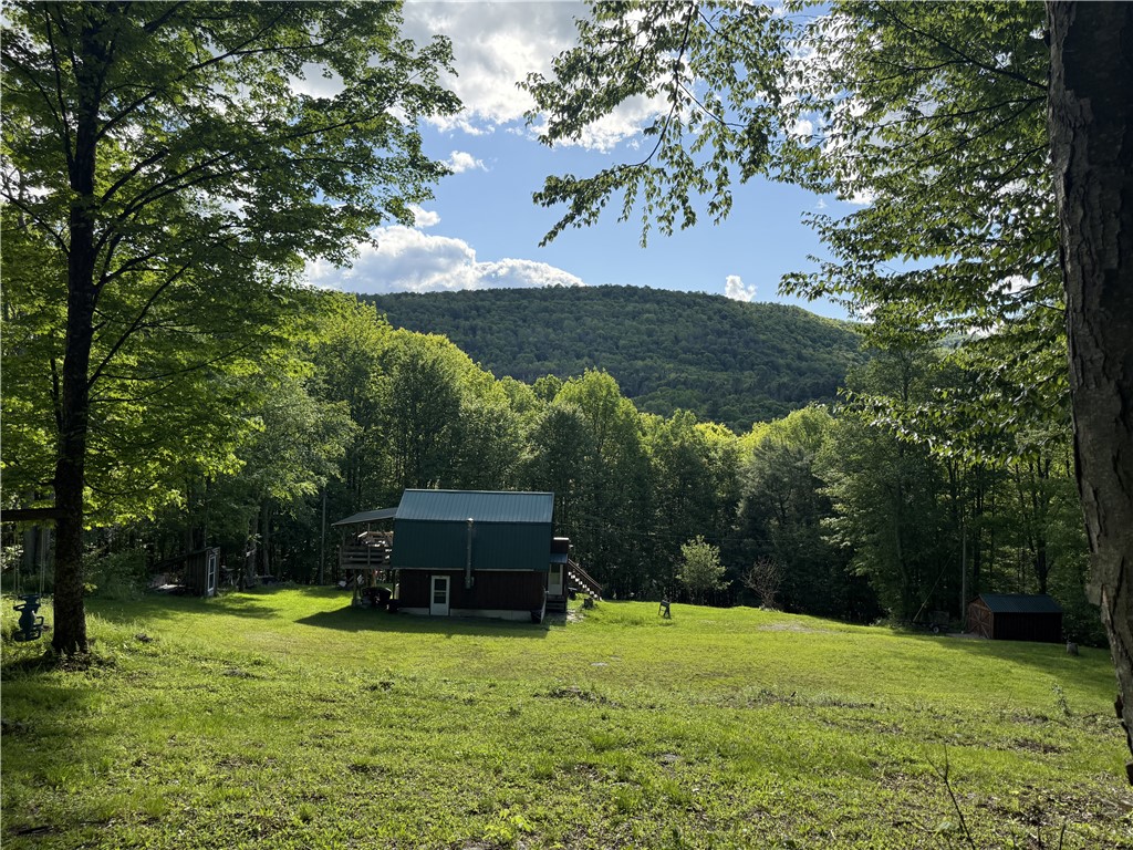 311 Fall Clove Road Colchester, NY 13752 - Photo 22 of 24