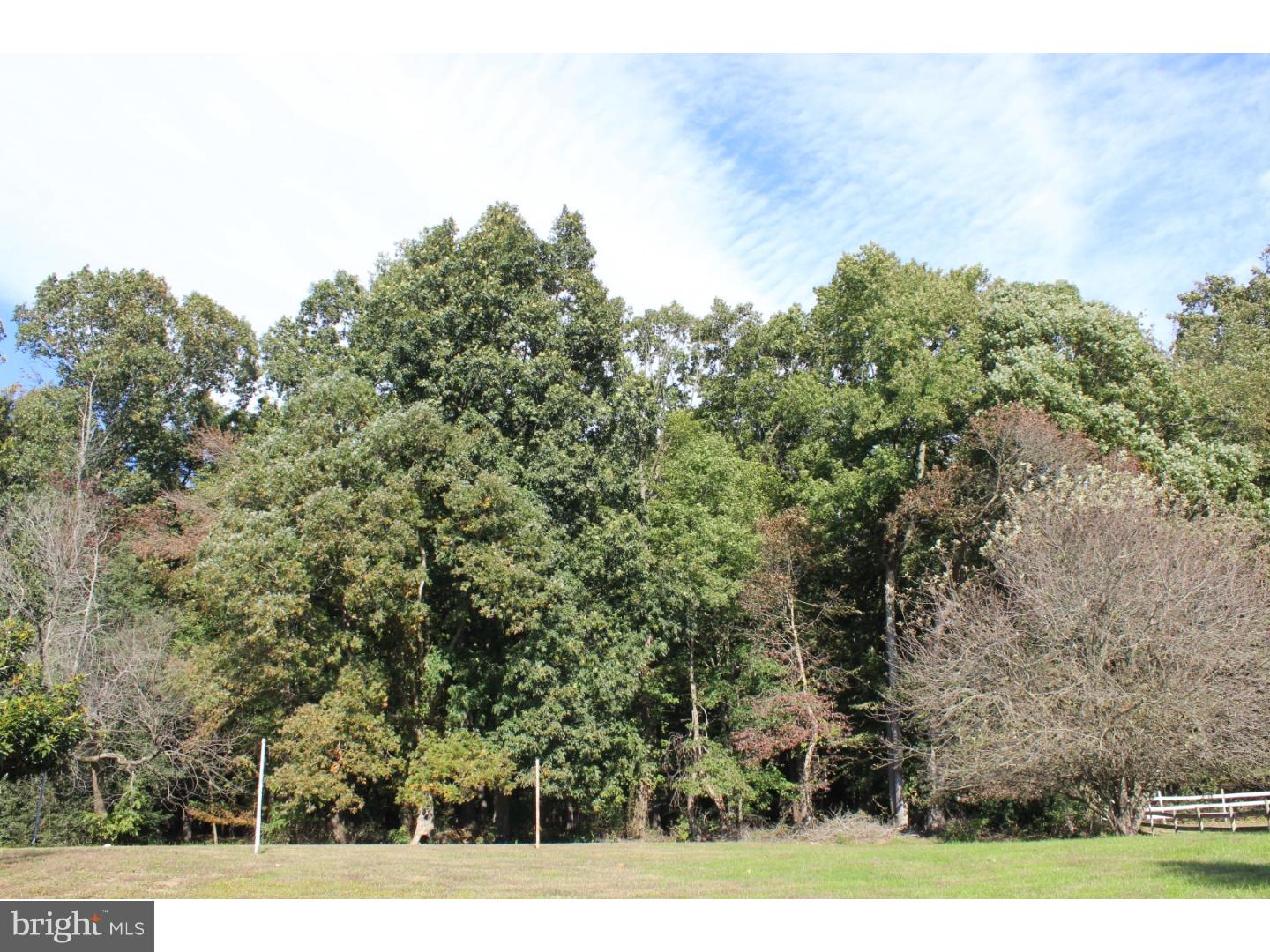 83 Hackett Road Woodstown, NJ 08098 - Photo 20 of 23 Back Yard