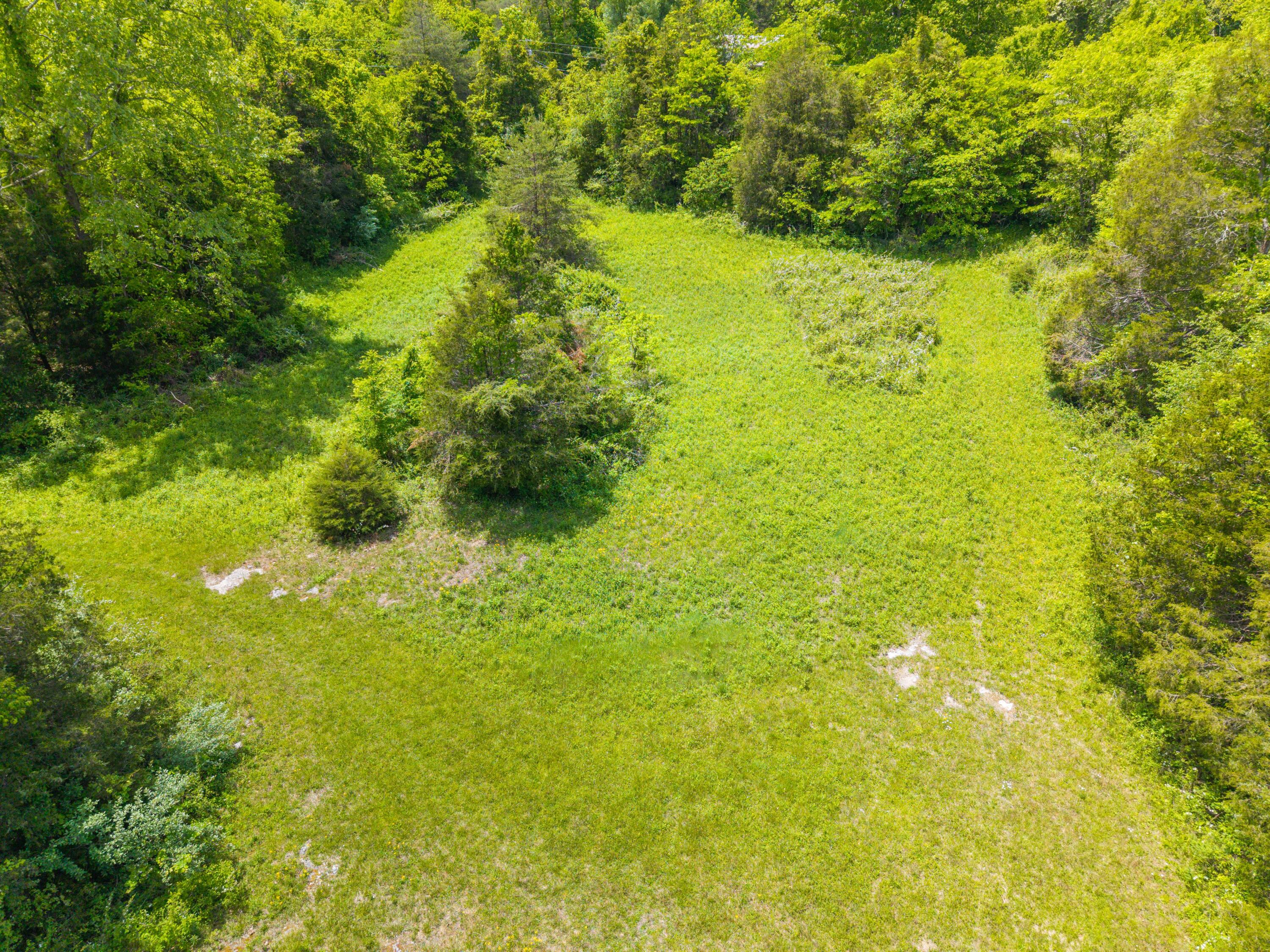 0 Sloans Valley Road Burnside, KY 42519 - Photo 8 of 38 Sloan Valley Land Photo-7