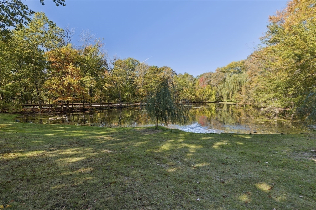 873 Chestnut Street Newton, MA 02468 - Photo 33 of 34