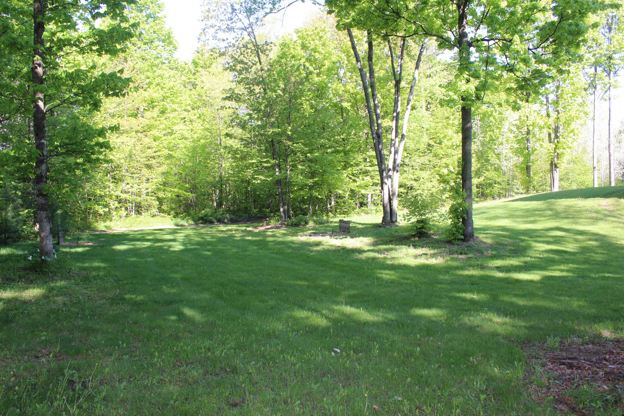 2389 Hallock Road Gaylord, MI 49735 - Photo 48 of 49 Gallery Image 48