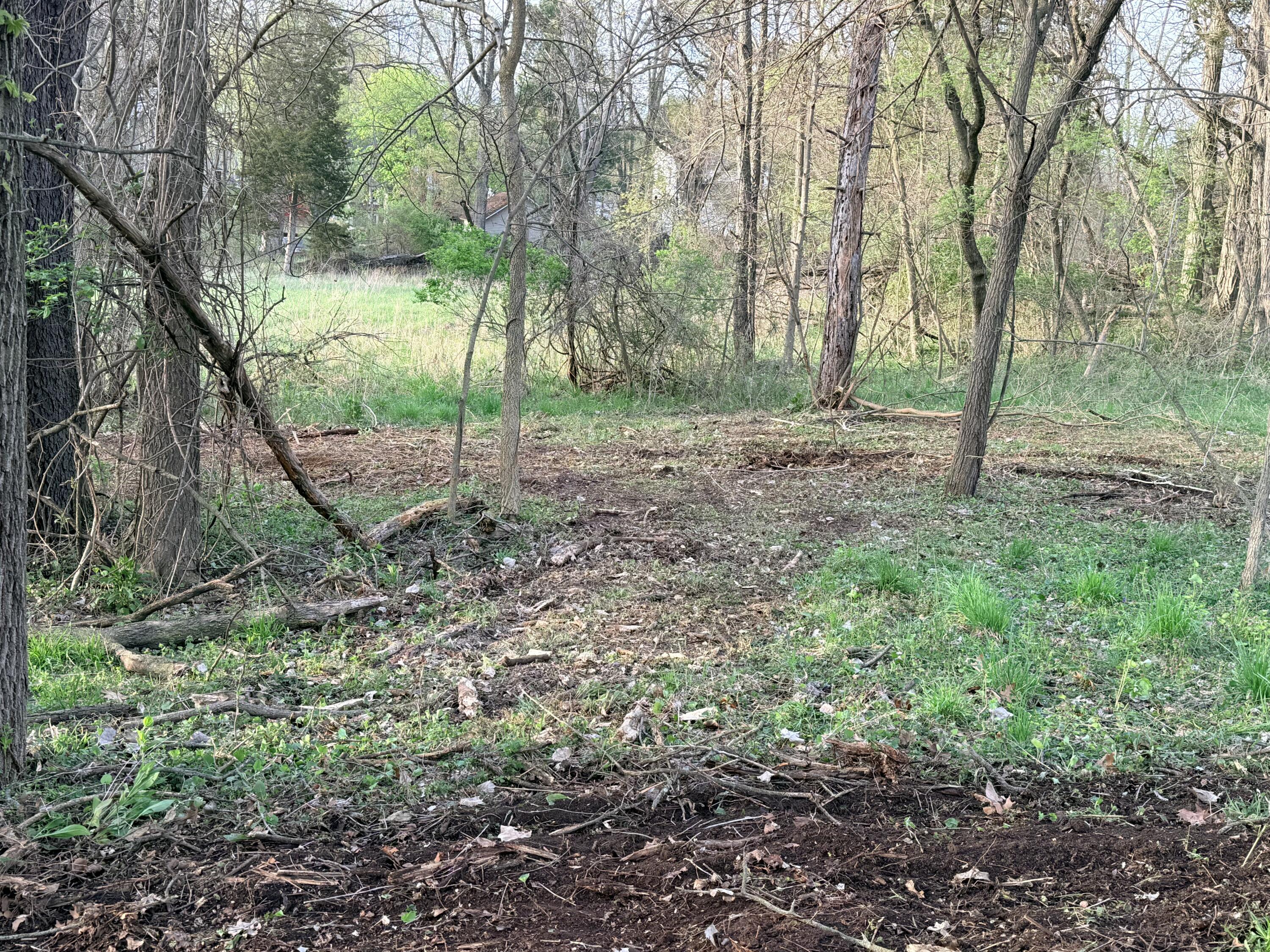 Ernest Street Brooklyn, MI 49230 - Photo 9 of 10 Vacant Lot