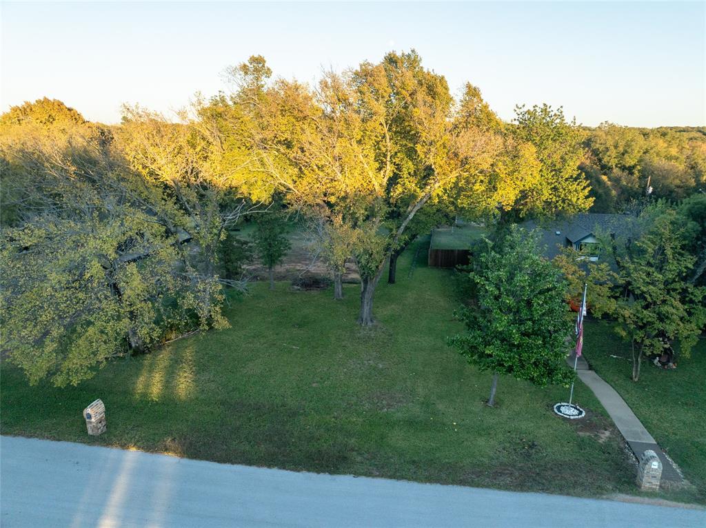 a view of a garden with a lake
