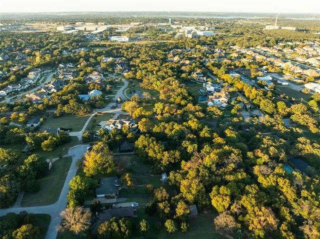 a view of a tree with flower plants