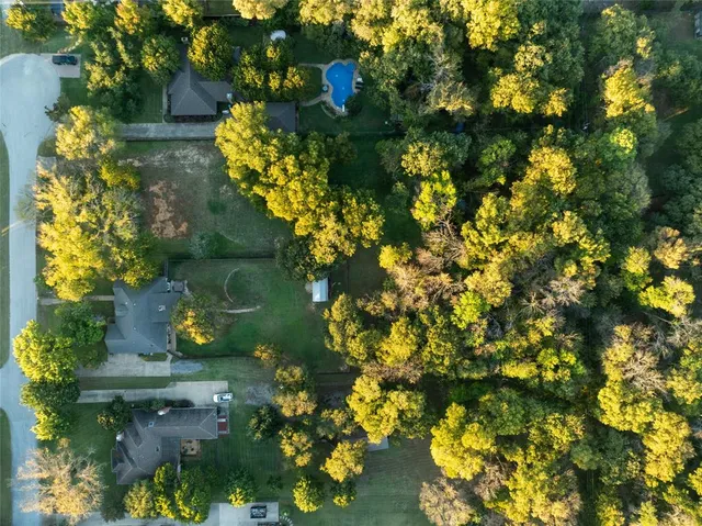 a close up of a tree