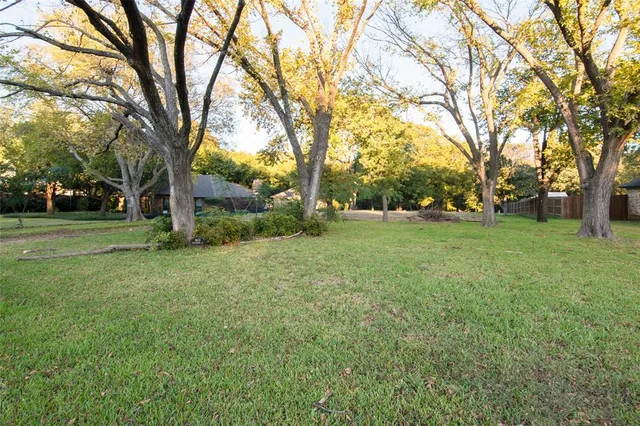 a view of a trees in a park