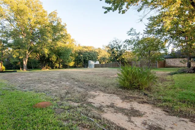 a view of a park with large trees