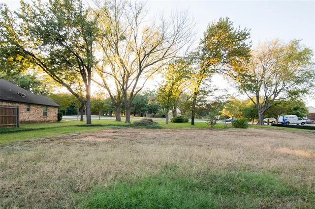 a view of a yard with a tree