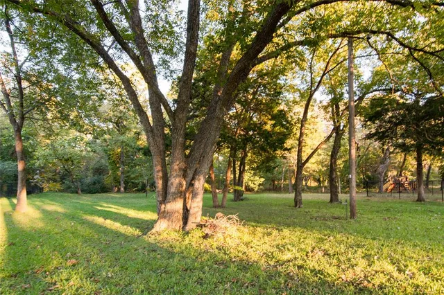 a view of a tree in a yard