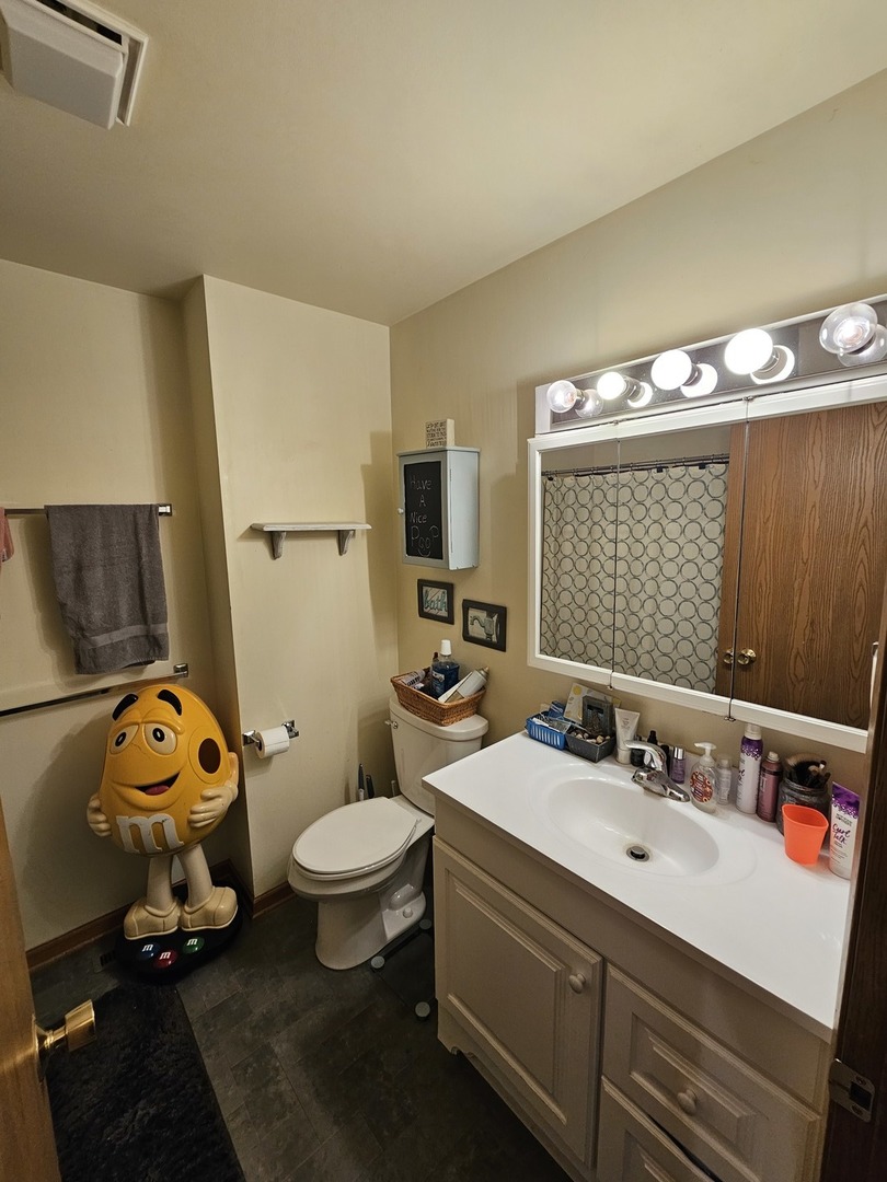 847-849 Rhodes Street Woodstock, IL 60098 - Photo 37 of 44 a bathroom with a sink mirror and toilet