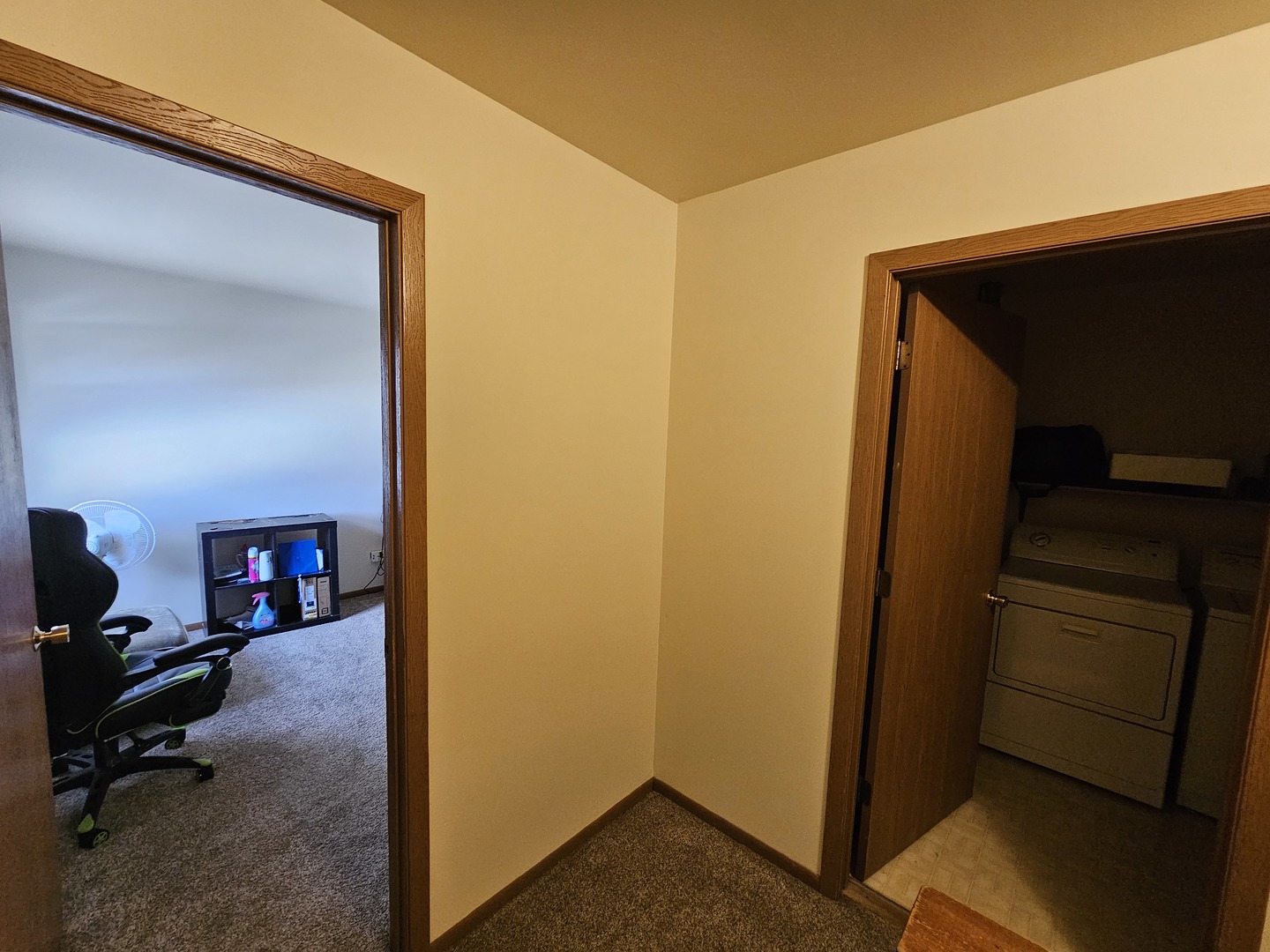 847-849 Rhodes Street Woodstock, IL 60098 - Photo 41 of 44 a view of a livingroom with storage
