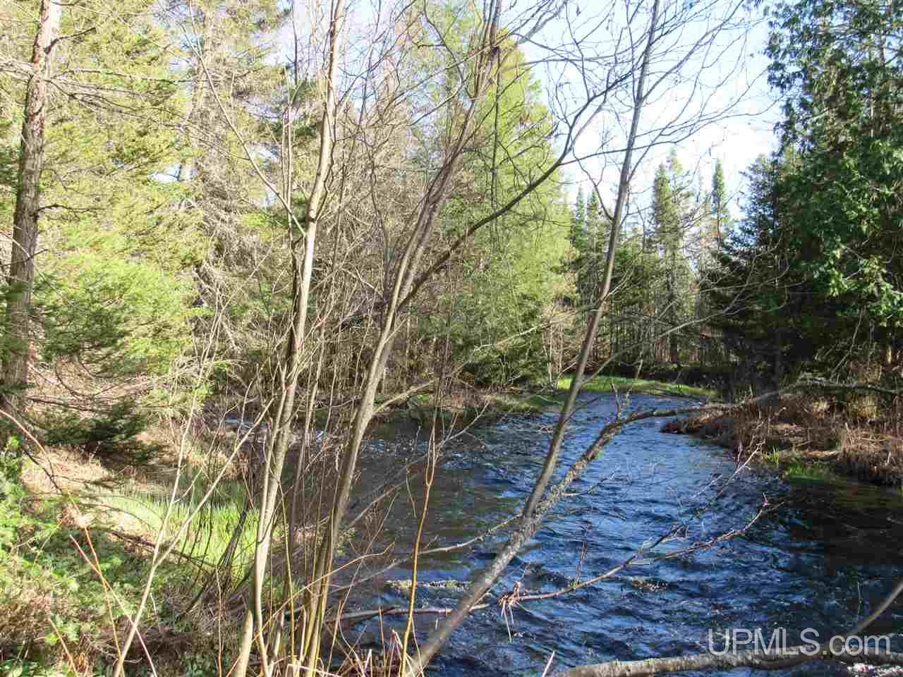 M28 (west) Lanse, MI 49946 - Photo 11 of 30