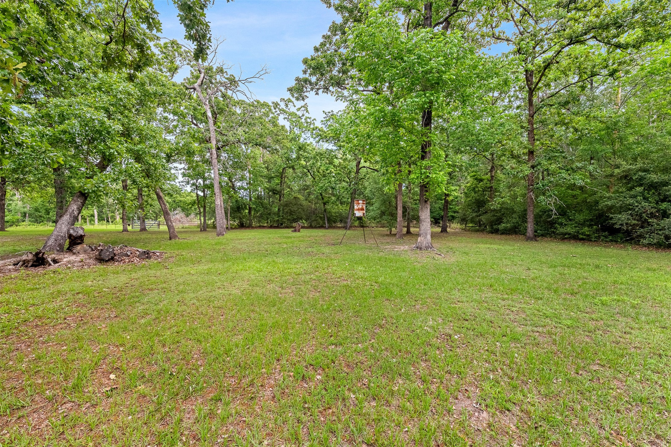 439 Lakeview Harbor Onalaska, TX 77360 - Photo 23 of 43