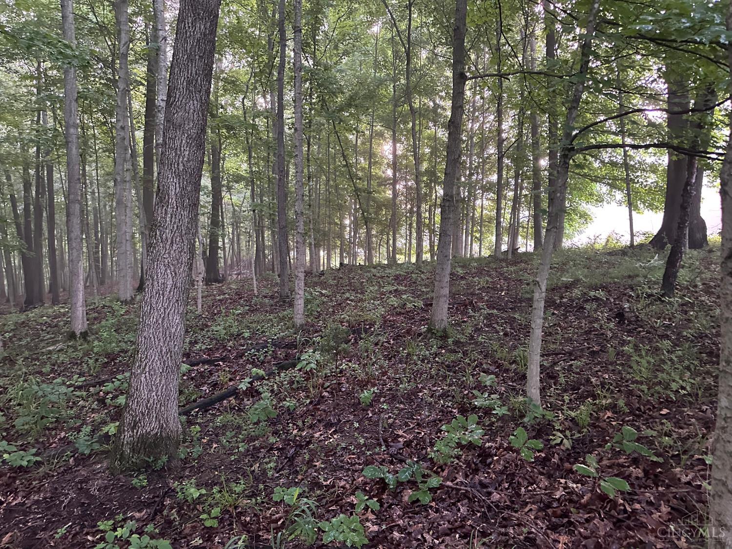 11583 Sinking Spring Road Hillsboro, OH 45133 - Photo 17 of 25