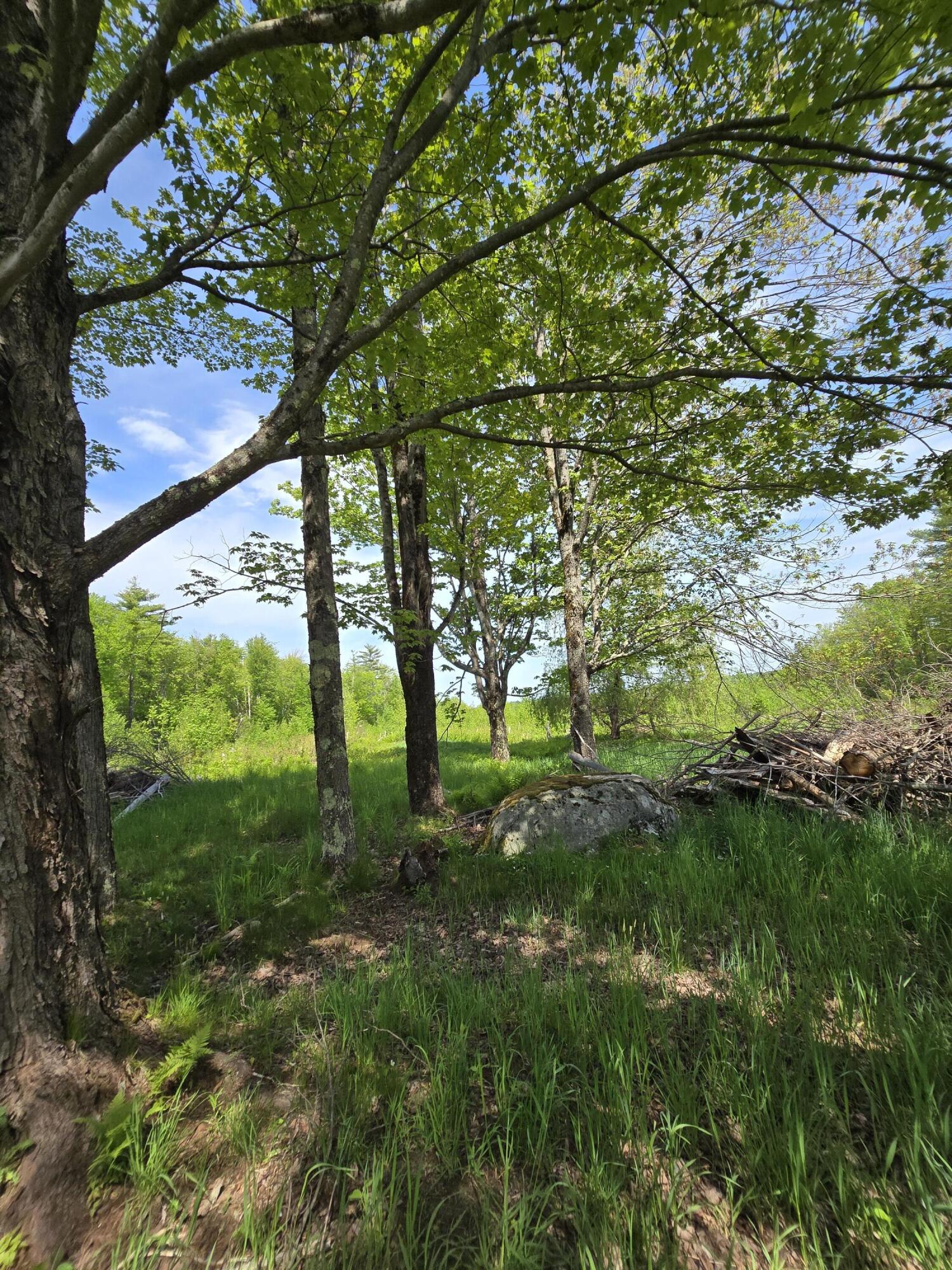 133 Beans Corner Road Pittsfield, ME 04967 - Photo 54 of 61 20240521_144408