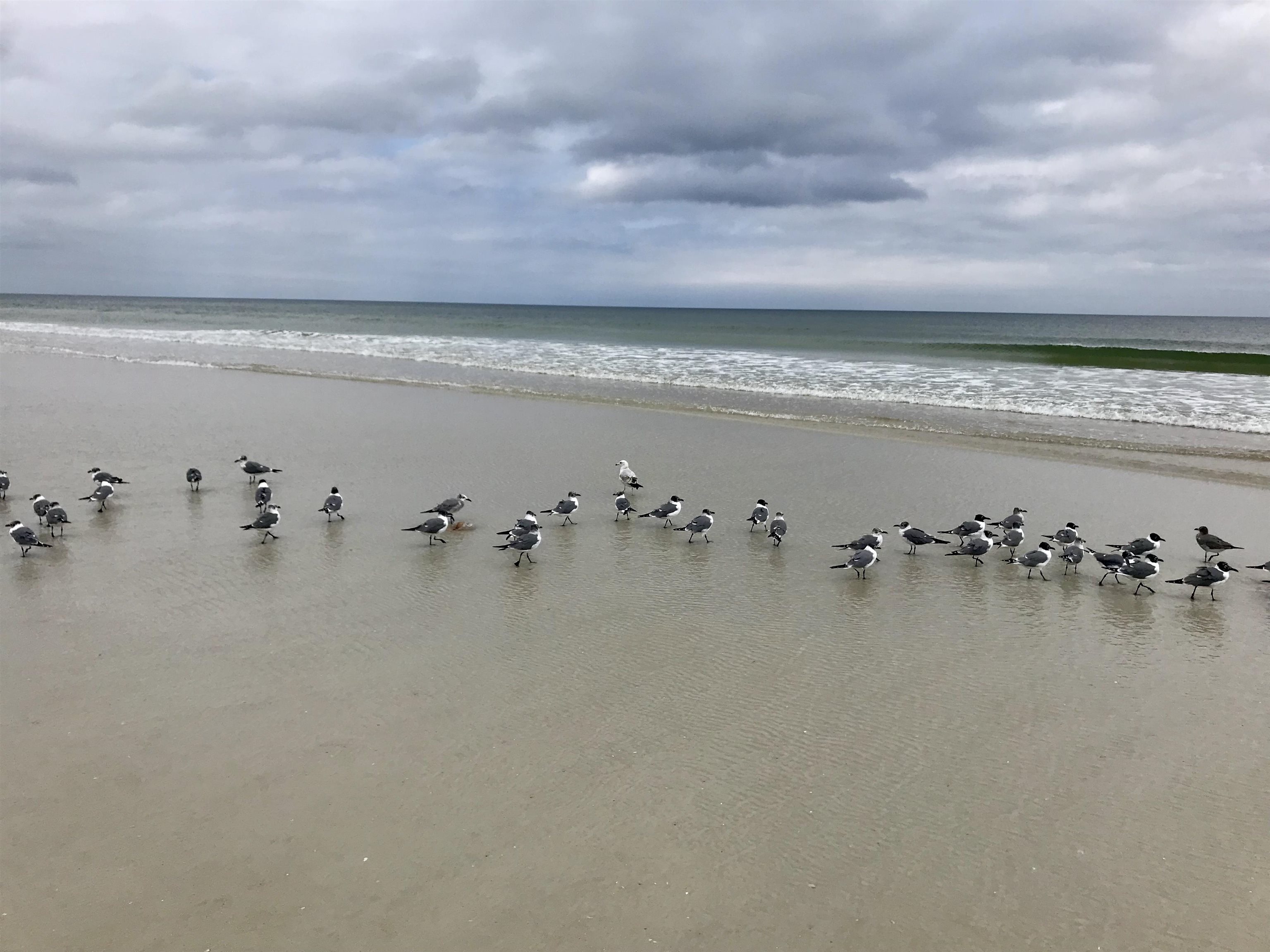 224 Puebla Road St. Augustine, FL 32080 - Photo 29 of 32 a view of water heater in a field