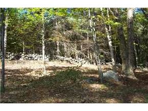 0 Mason Road Sandwich, NH 03227 - Photo 4 of 5