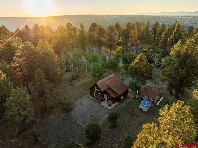a view of a city with lush green forest