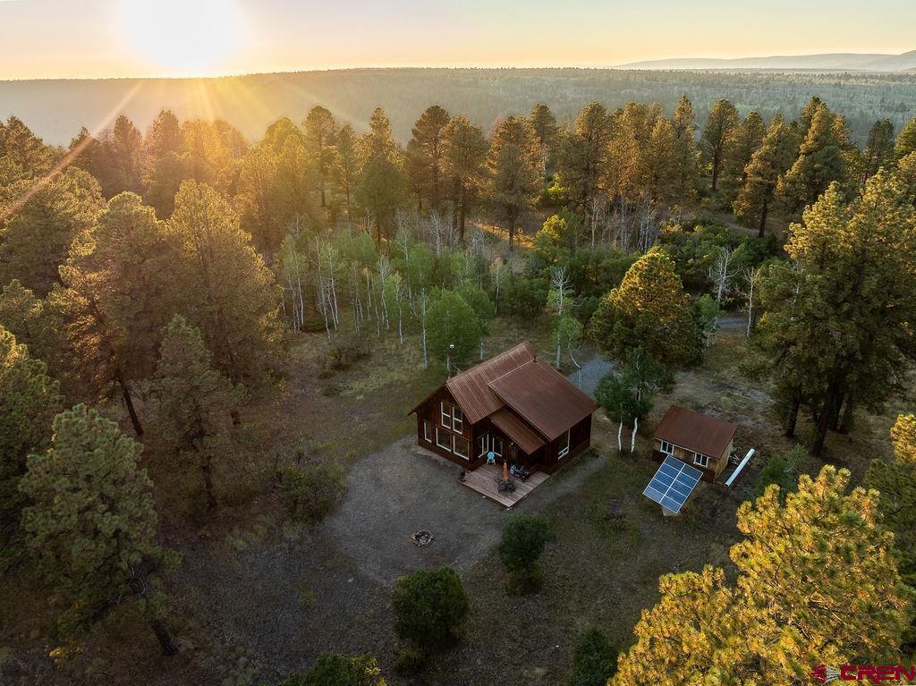 a view of a city with lush green forest