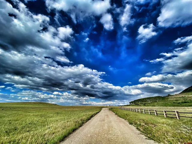a view of a pathway with a garden