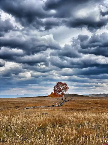 $790,000 | 150 West Piney Woods Way, Ridgway, CO 81432