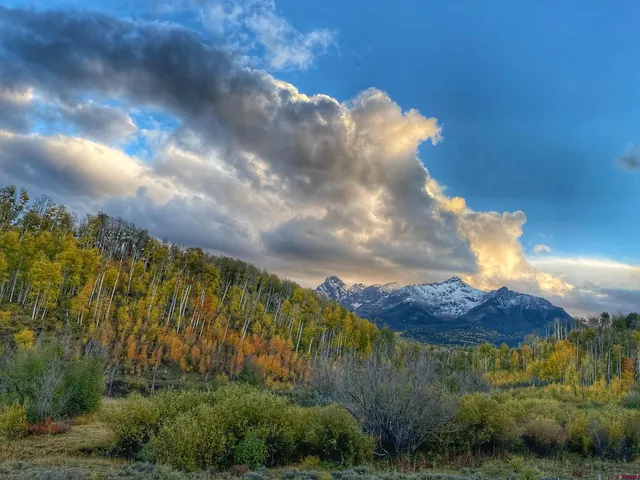 $790,000 | 150 West Piney Woods Way, Ridgway, CO 81432