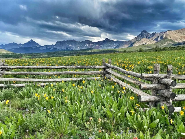 $790,000 | 150 West Piney Woods Way, Ridgway, CO 81432