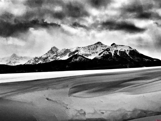 $790,000 | 150 West Piney Woods Way, Ridgway, CO 81432